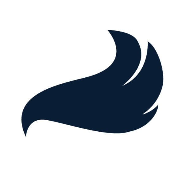 Smile Hair Clinic Hair Transplant Turkey Istanbul logo